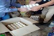 میاندوآب :جمع آوری تخم مرغ هایی که تاریخ تولید آن اردیبهشت  1400 بود 